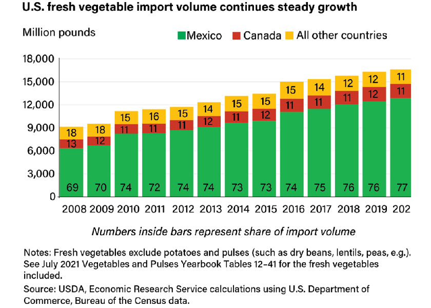 Vegetables imported from clearance other countries